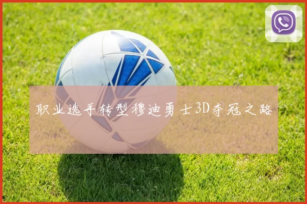 职业选手转型穆迪勇士3D夺冠之路